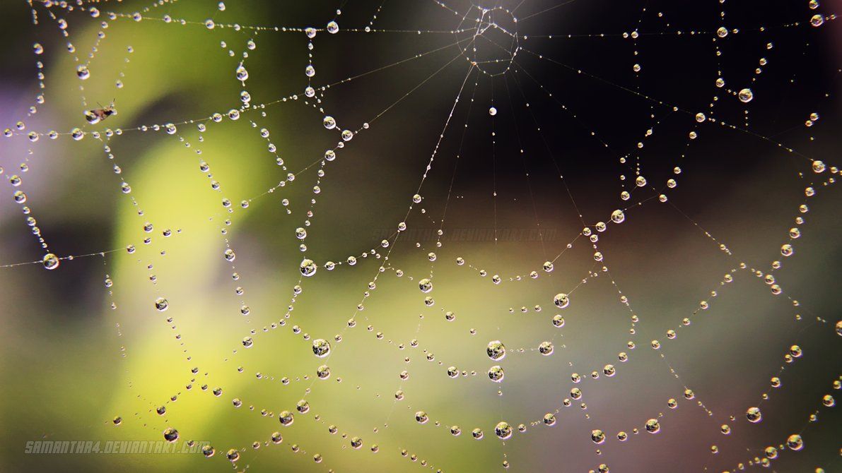 Animated File Upload Button